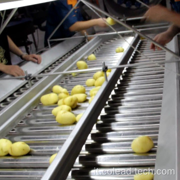 Smistamento della macchina da valutazione dell&#39;avocado pomodoro patate